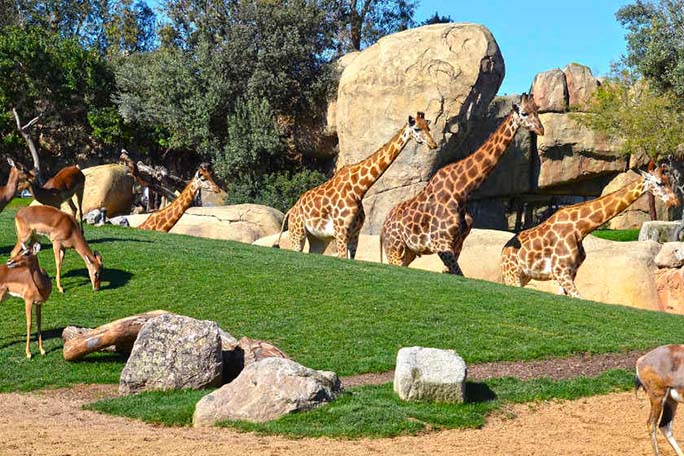 Parque de Cabárceno