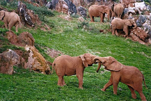 Parque de Cabárceno